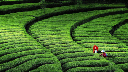 1552633907429414.png QQ圖片20190315145042.png