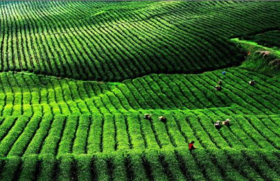 1552633917805468.png QQ圖片20190315145105.png