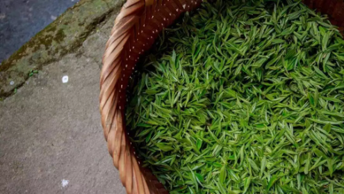 1552633949277382.png QQ圖片20190315145304.png