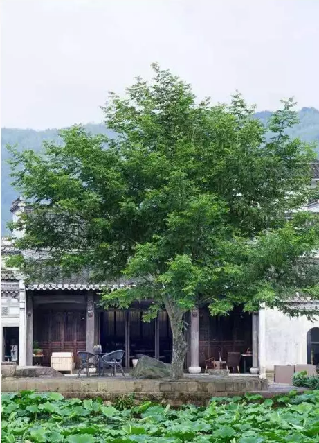 1557455607860334.png QQ圖片20190510094851.png