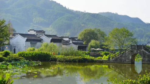 1557455626116809.png QQ圖片20190510094934.png