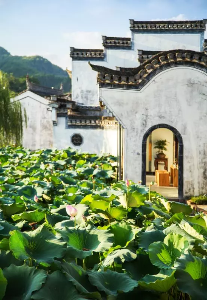 1557456196764846.png QQ圖片20190510100321.png