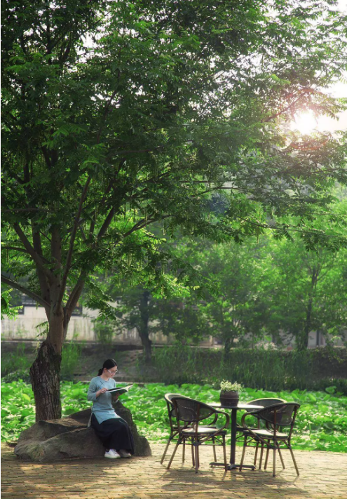 1557456205667681.png QQ圖片20190510100338.png