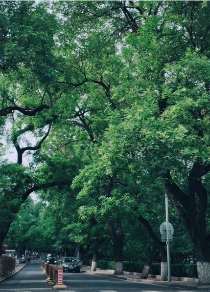 1560997648358325.png QQ圖片20190620094235.png