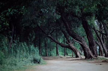 1560997672249110.png QQ圖片20190620094322.png