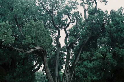 1560997682395074.png QQ圖片20190620094341.png