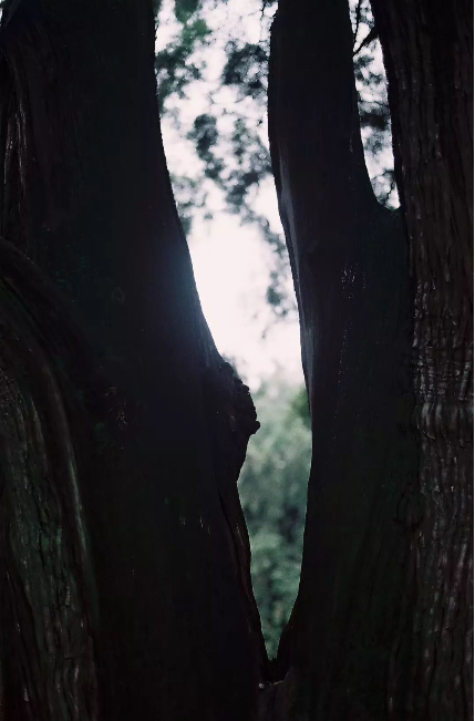 1560997690684506.png QQ圖片20190620094401.png