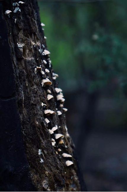 1560997715140563.png QQ圖片20190620094438.png