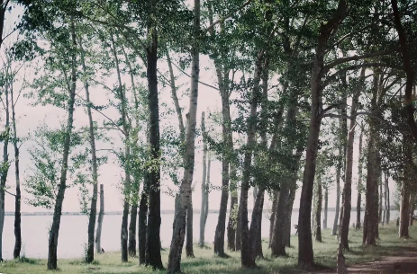 1560998014603951.png QQ圖片20190620094917.png