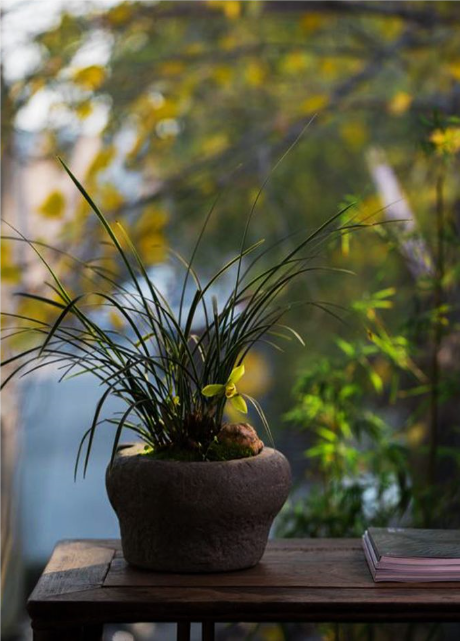 1561512999322265.png QQ圖片20190626090510.png