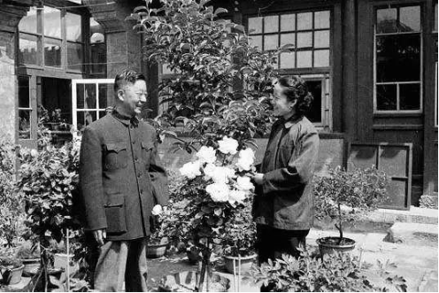 1561513274135769.png QQ圖片20190626090858.png