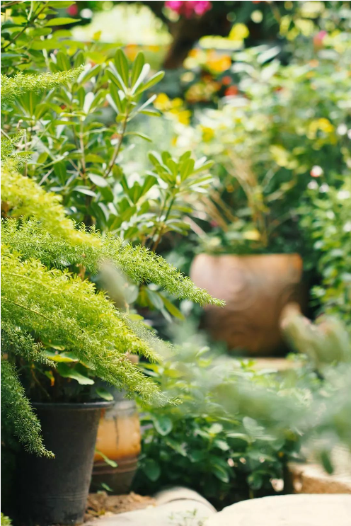 1561513296977036.png QQ圖片20190626090916.png