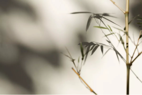 1562747457104476.png QQ圖片20190710161249.png