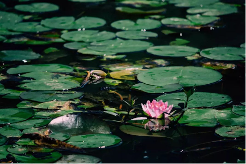 1562747678687432.png QQ圖片20190710161630.png