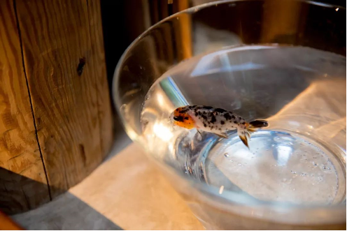 1563267107834902.png QQ圖片20190716102532.png