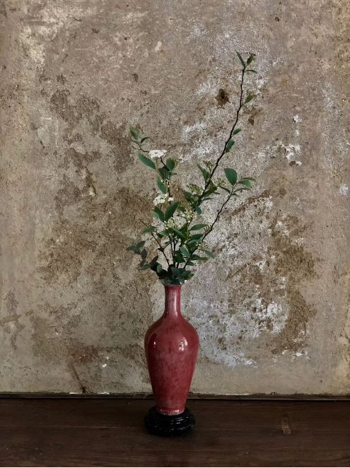 1563267152532561.png QQ圖片20190716102608.png