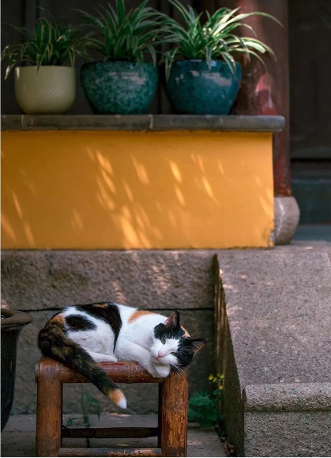 1565837936524385.png QQ圖片20190815104528.png