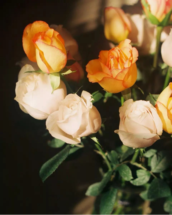 1565837966712262.png QQ圖片20190815104606.png