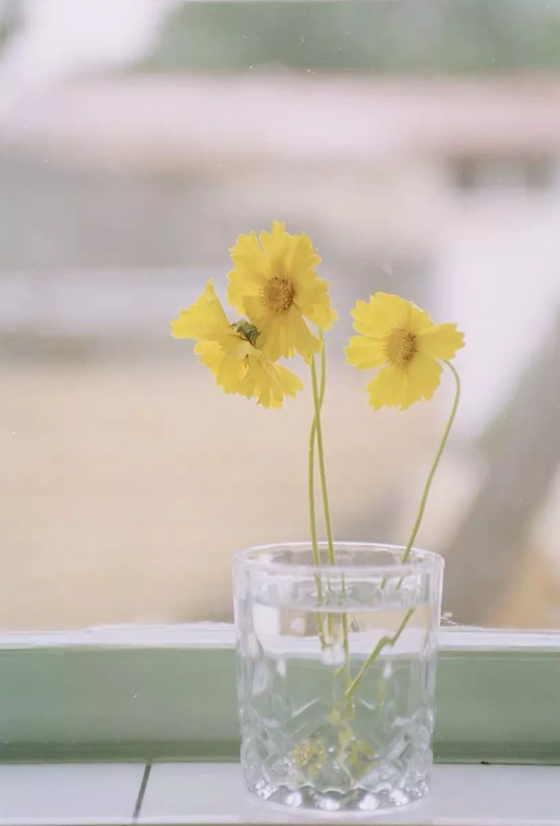 1565838084137426.png QQ圖片20190815104913.png