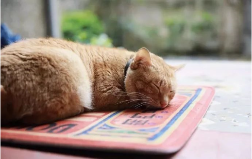 1565838133718716.png QQ圖片20190815105004.png