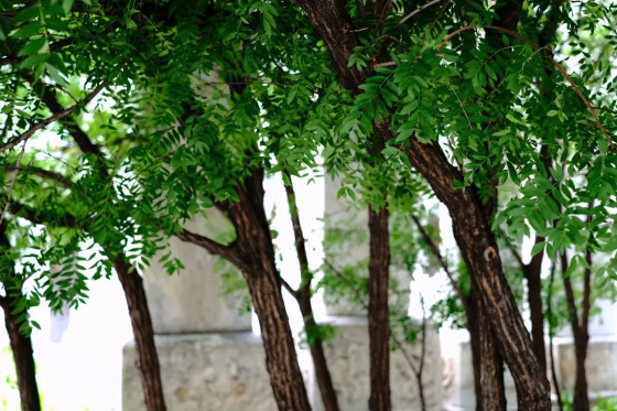 1565943196730679.png QQ圖片20190816155200.png