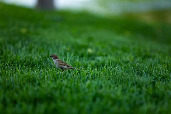 1565943307487377.png QQ圖片20190816155645.png