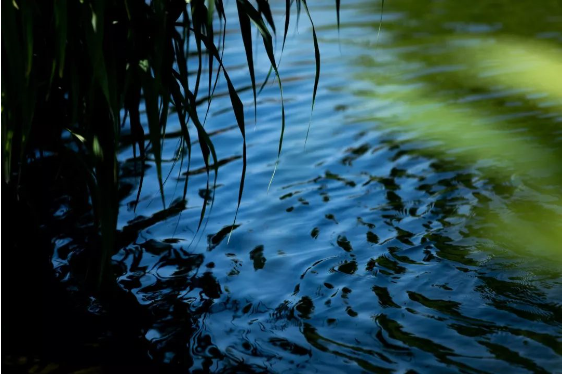 1565943317751550.png QQ圖片20190816155702.png