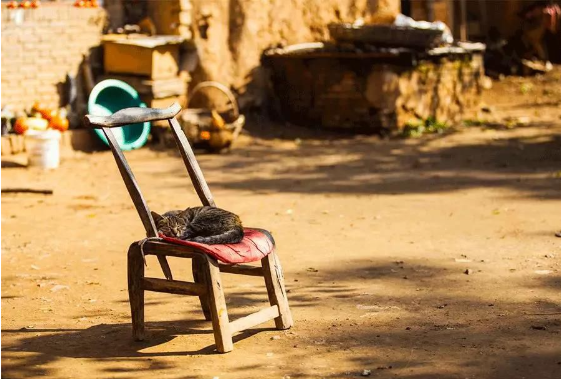 1565943469720911.png QQ圖片20190816160126.png