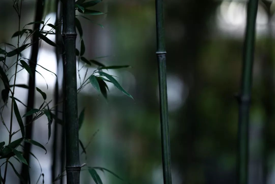 1565943513114391.png QQ圖片20190816160157.png