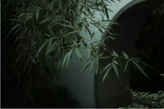 1565943523984567.png QQ圖片20190816160212.png