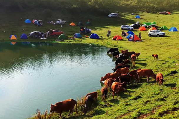 1566285507955262.png QQ圖片20190820150357.png