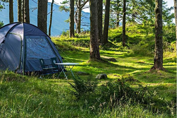 1566285722166532.png QQ圖片20190820150911.png