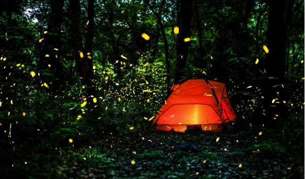 1566285758266452.png QQ圖片20190820151002.png