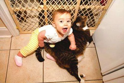 1573628371105630.png QQ圖片20191113143544.png