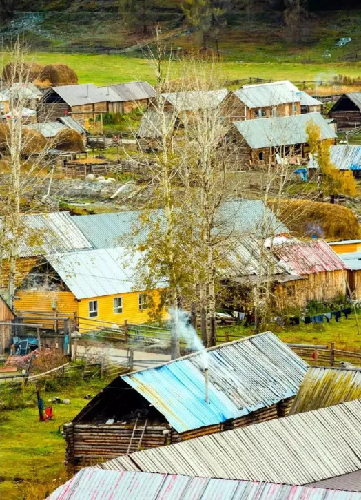 1574316597151600.png QQ圖片20191121134630.png