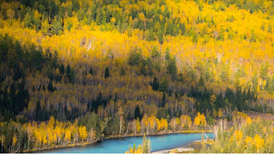 1574316612104352.png QQ圖片20191121134731.png