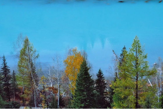 1574316642737865.png QQ圖片20191121134753.png