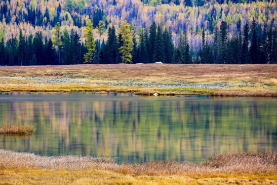 1574316723218558.png QQ圖片20191121134915.png