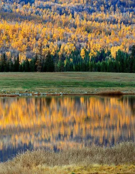 1574316748751377.png QQ圖片20191121134938.png