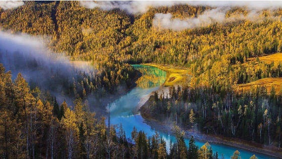 1574316788172686.png QQ圖片20191121135030.png