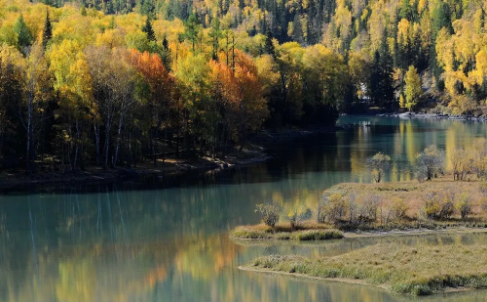 1574316798125837.png QQ圖片20191121135049.png