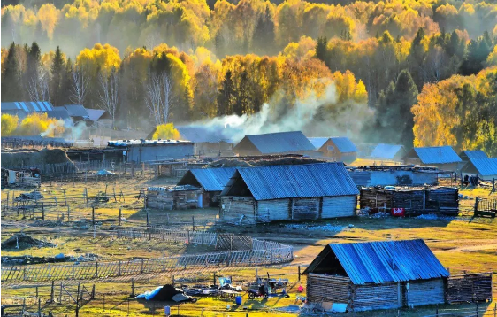 1574316838121939.png QQ圖片20191121135131.png