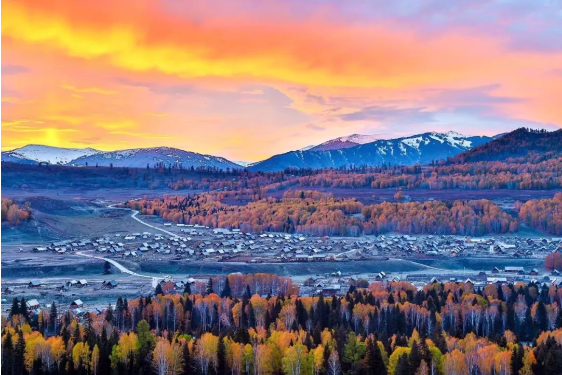 1574316848134022.png QQ圖片20191121135147.png