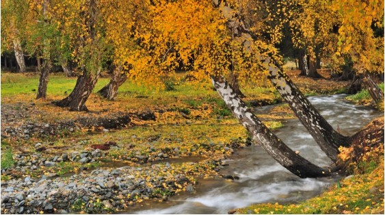 1574316906814591.png QQ圖片20191121135302.png