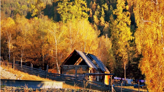 1574316915759295.png QQ圖片20191121135319.png