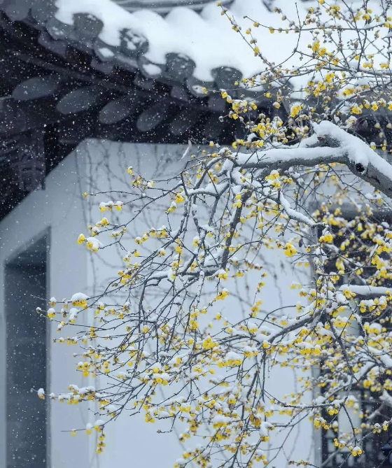 1578560624425885.png QQ圖片20200109164227.png