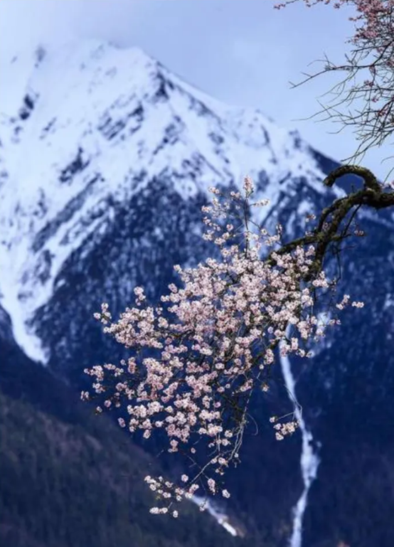 1585793874228154.png QQ圖片20200401153340.png