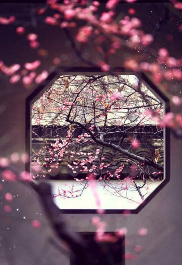 1585793899188823.png QQ圖片20200401153404.png