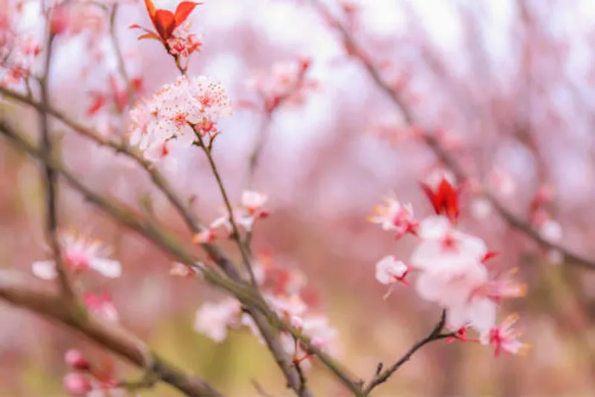 1585793937113900.png QQ圖片20200401153424.png