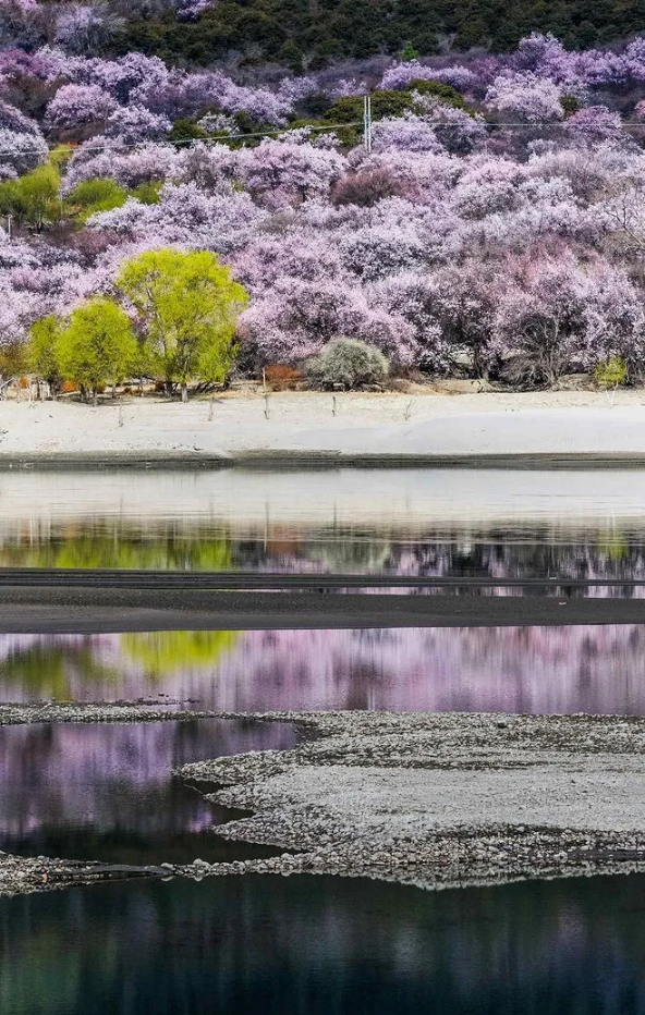 1585793979303632.png QQ圖片20200401153523.png